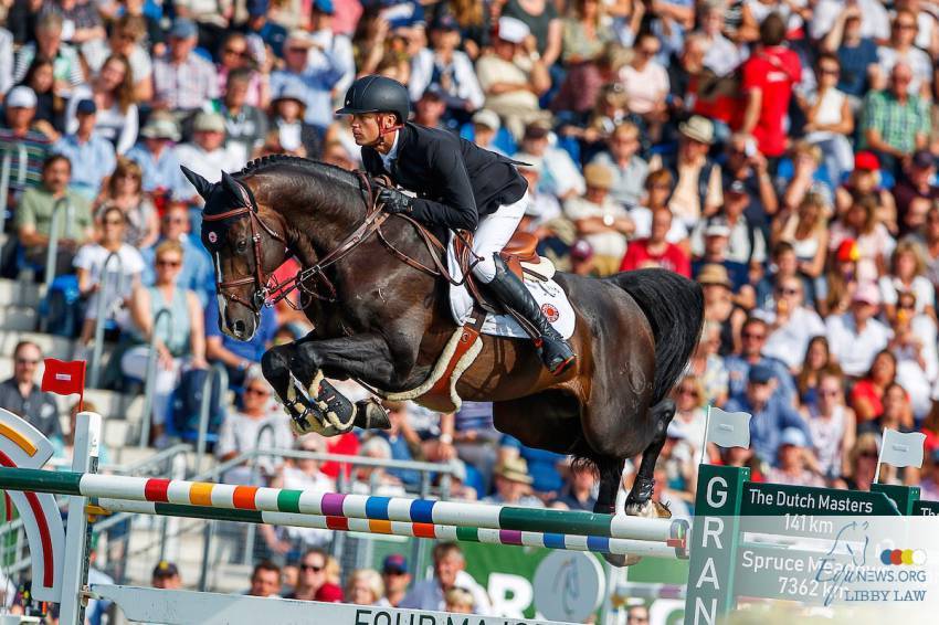 Quel Homme de Hus - Selle Français 2006 ,  QUIDAM DE REVEL