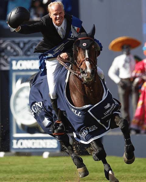 Quel Homme de Hus - Selle Français 2006 ,  QUIDAM DE REVEL