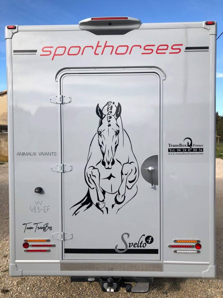 Kleine paardenvrachtwagen (B rijbewijs) Trans Box SVELTO 4 2024 Nieuw