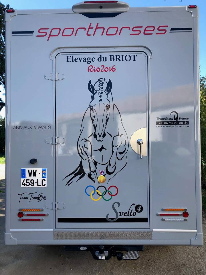 Kleine paardenvrachtwagen (B rijbewijs) Trans Box SVELTO 4 2024 Nieuw