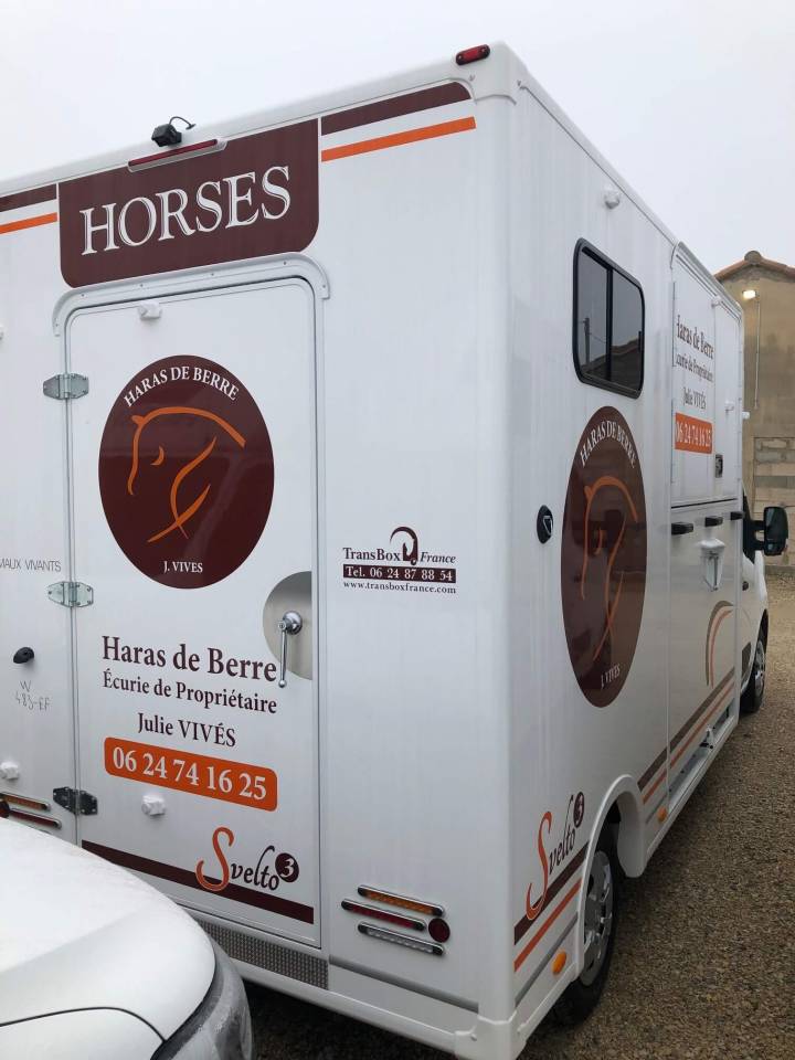 Kleine paardenvrachtwagen (B rijbewijs) Trans Box SVELTO 3R 2024 Nieuw