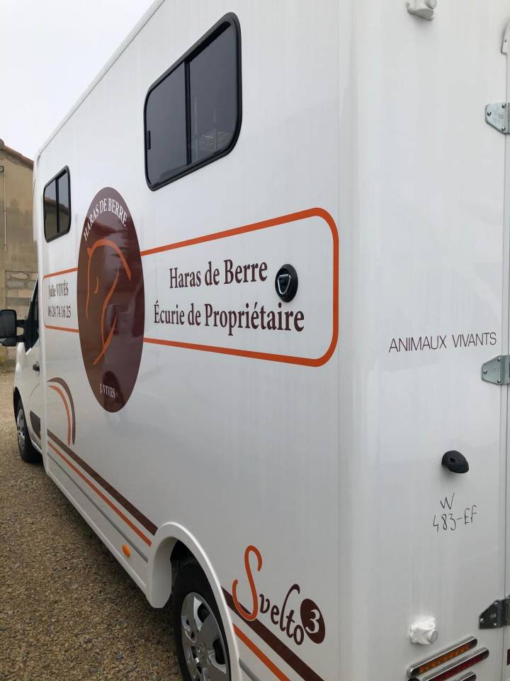 Kleine paardenvrachtwagen (B rijbewijs) Trans Box SVELTO 3R 2024 Nieuw