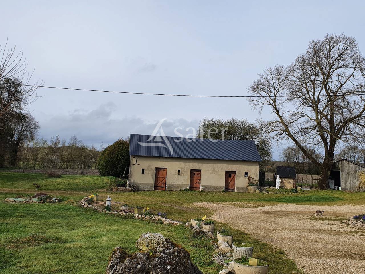 Kippen exploitatie Koop Sarthe