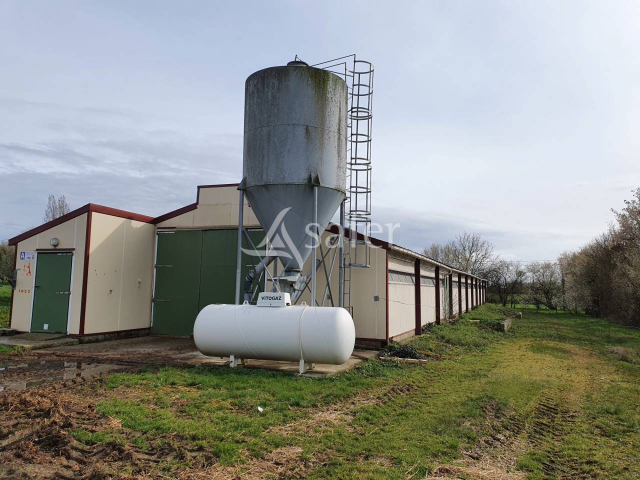 Kippen exploitatie Koop Sarthe