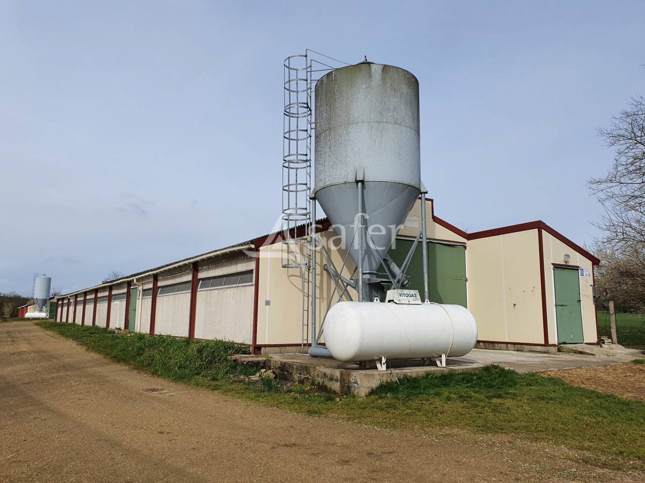 Kippen exploitatie Koop Sarthe