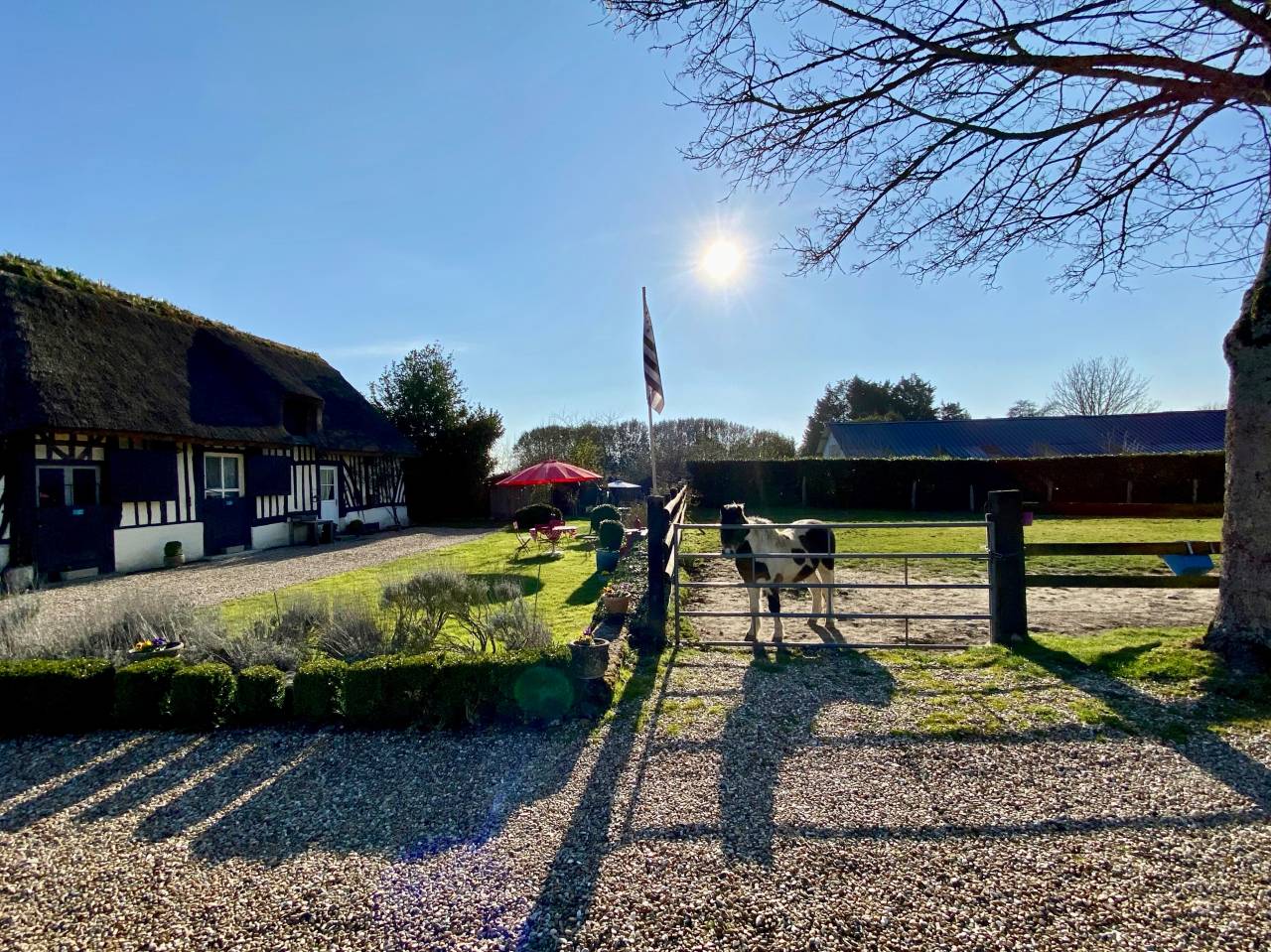 Stoeterij Koop Calvados