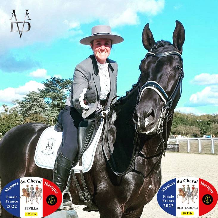 Barquero JF IV - PRE Puur Ras Spaans 2014 ,  ESCOGIDO J F