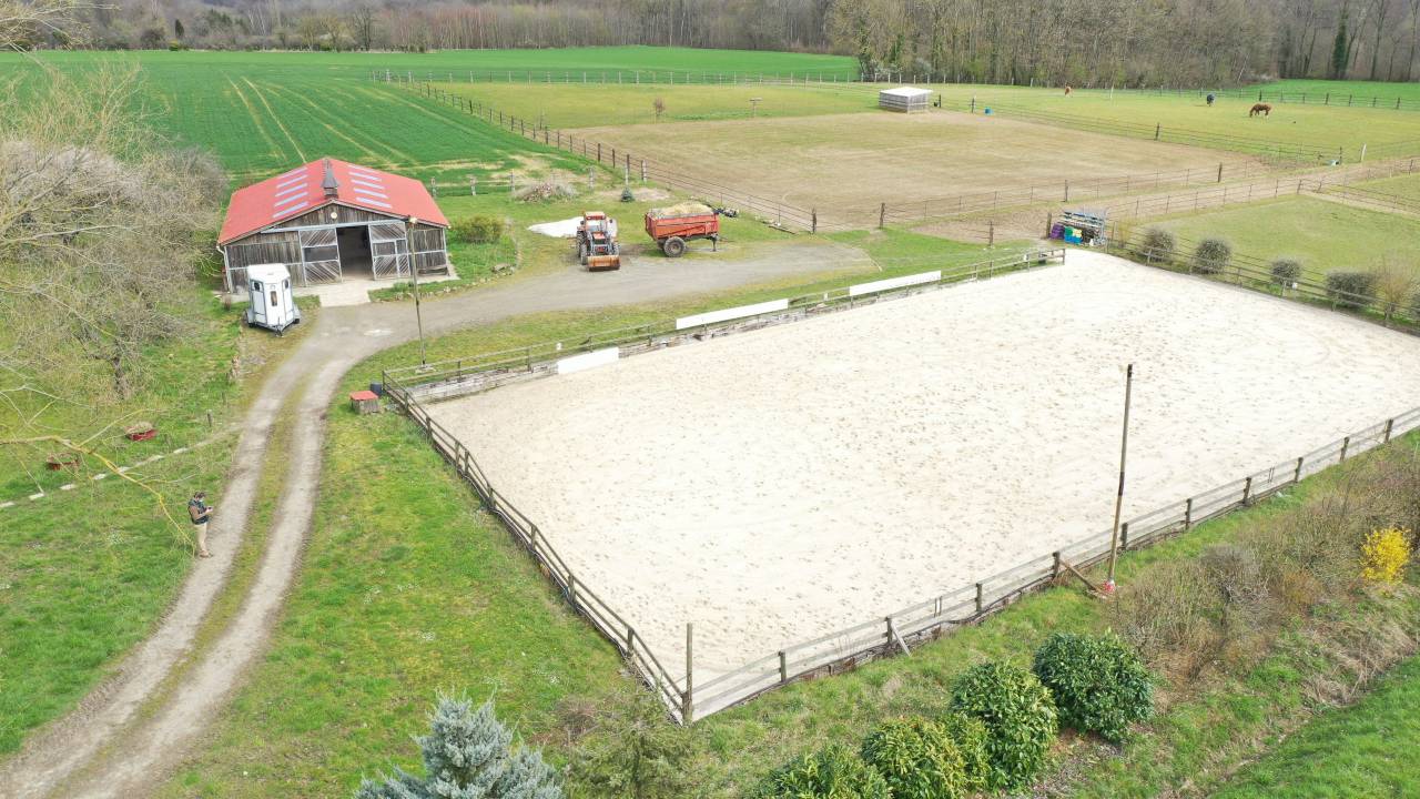 Eigenaren stal Koop Seine-et-Marne
