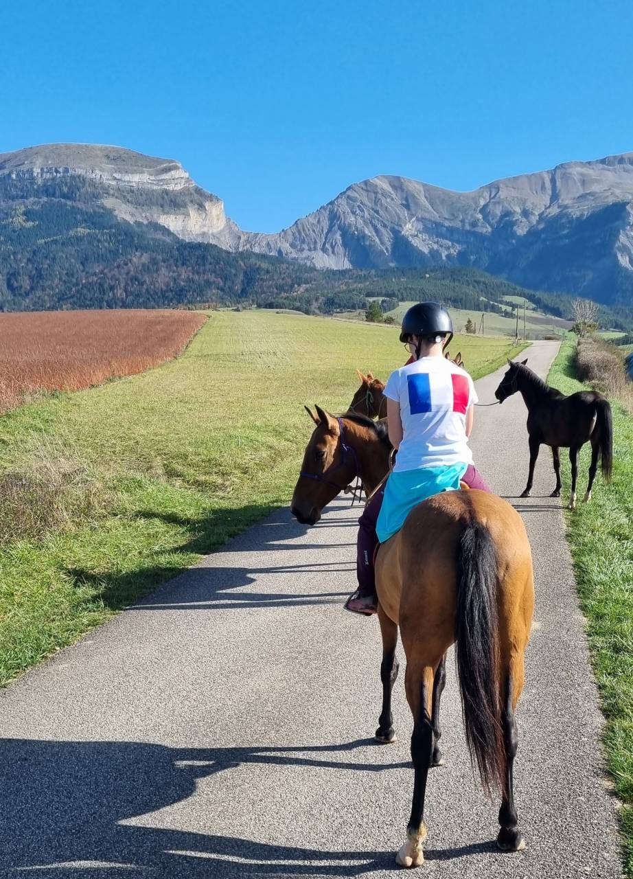 Merrie Akhal-Teke Te koop 2019 Donker bruin / bai ,  Kemput AT