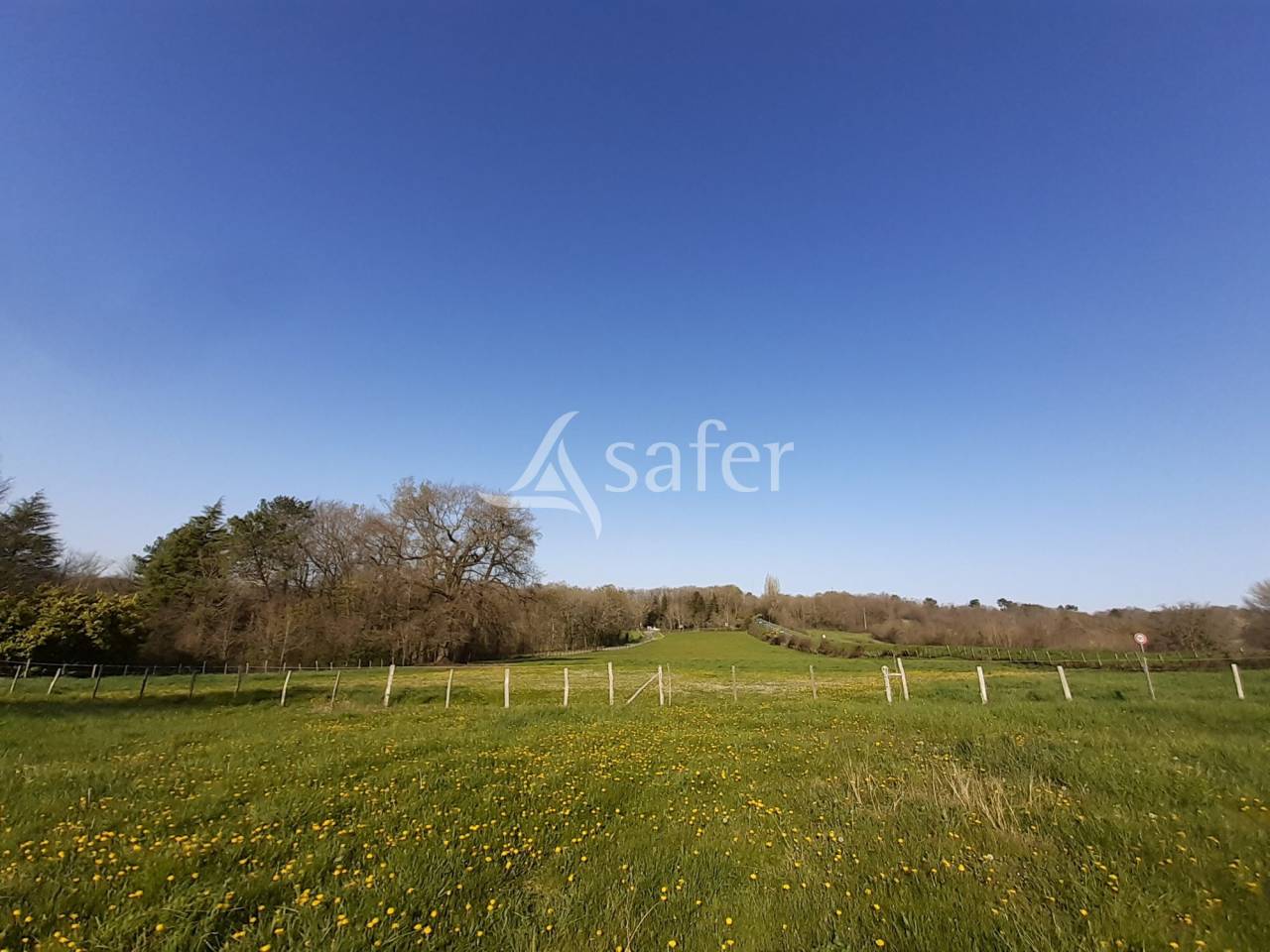 Landbouw bedrijf Koop Charente