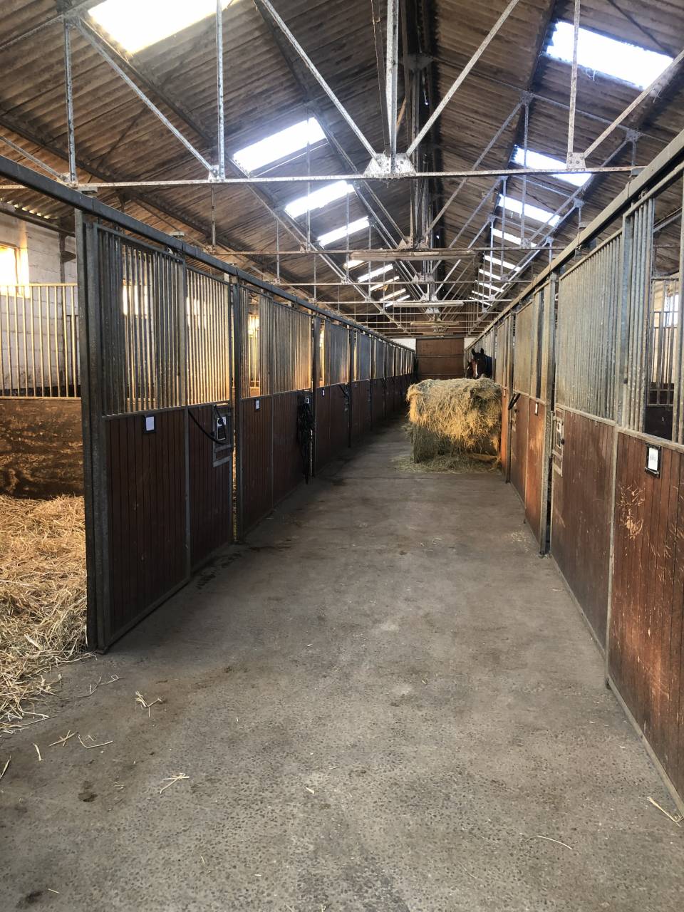 Competitie stal Koop Orne