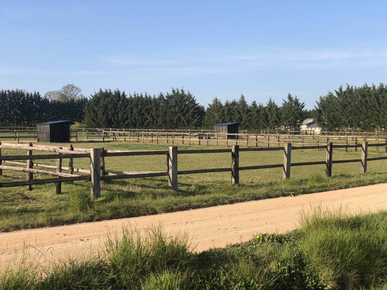 Competitie stal Koop Orne