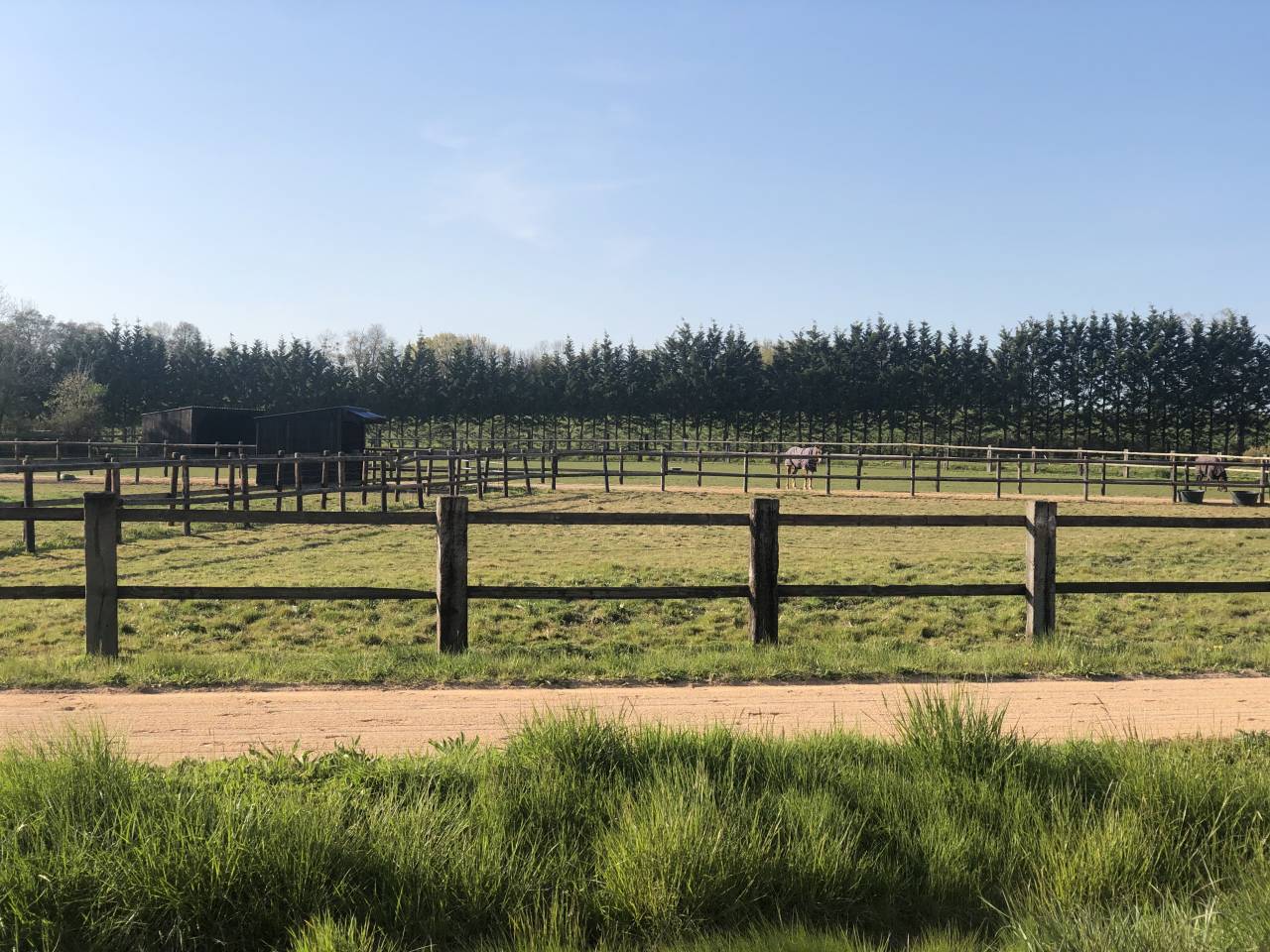 Competitie stal Koop Orne