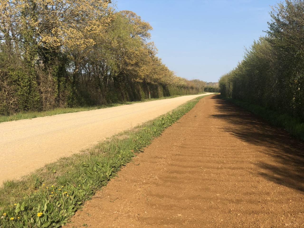 Competitie stal Koop Orne