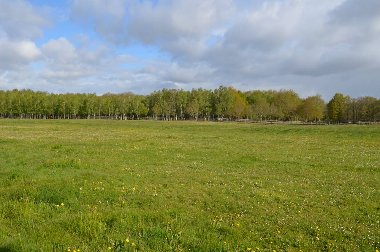 Stoeterij Koop Calvados