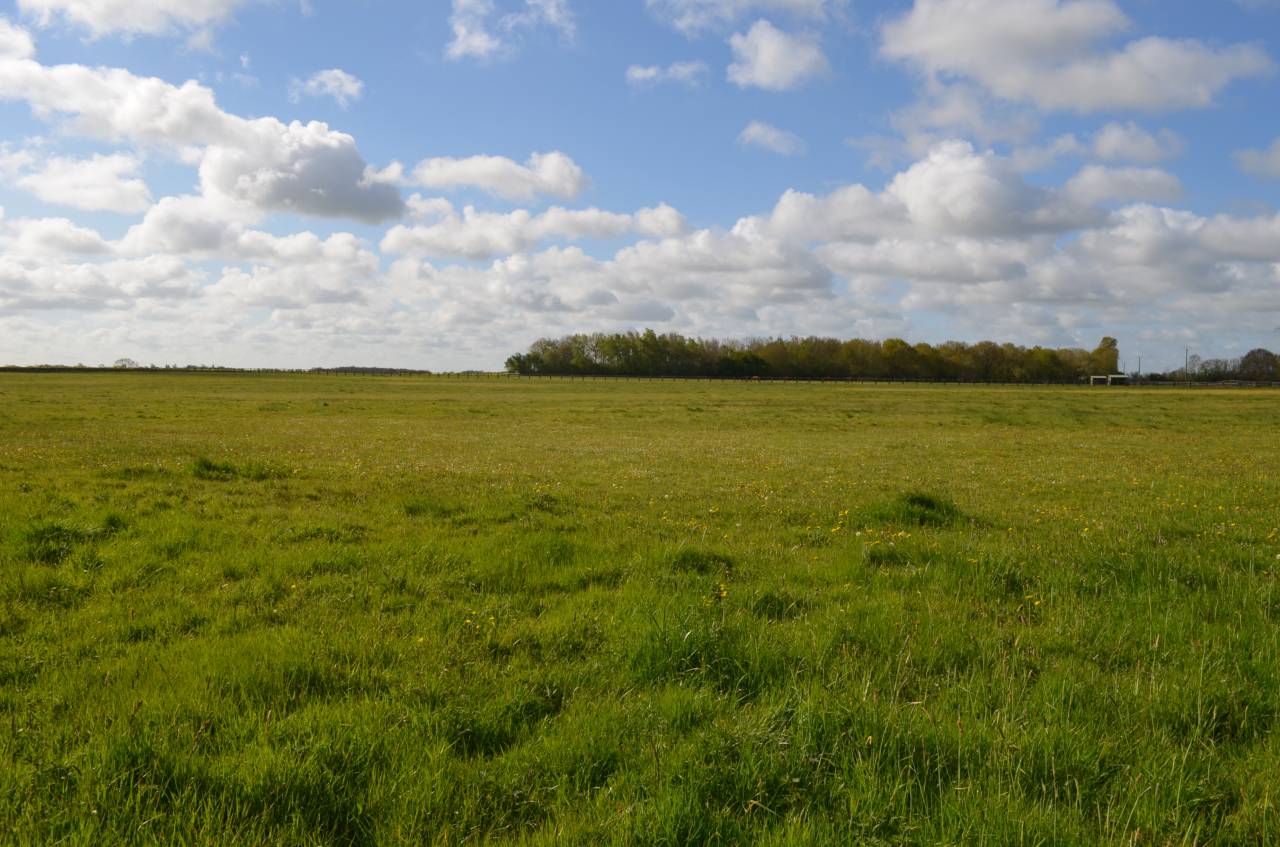 Stoeterij Koop Calvados