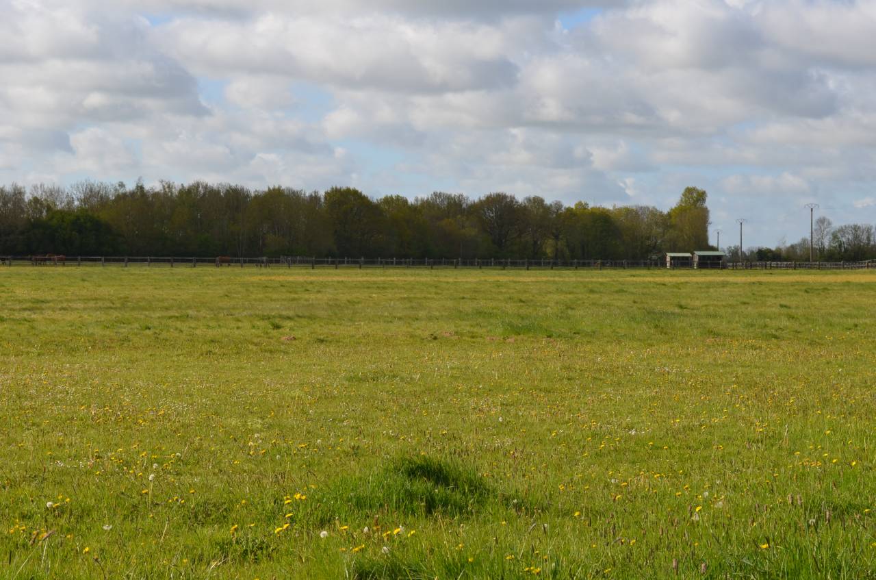 Stoeterij Koop Calvados