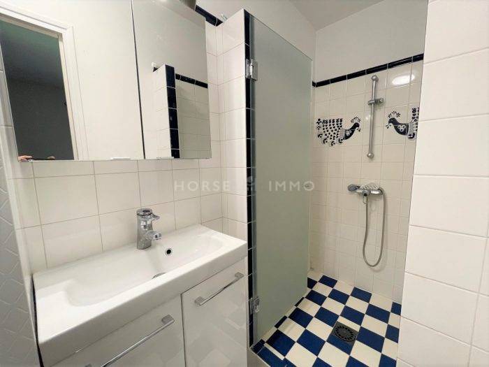 Hippisch vastgoed Koop Yvelines