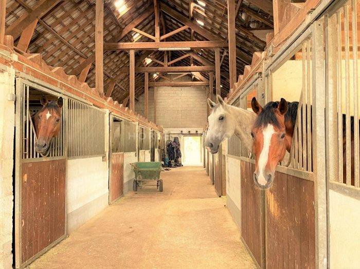 Hippisch vastgoed Koop Seine-et-Marne