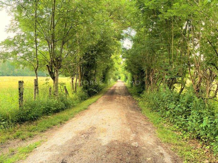 Hippisch vastgoed Koop Seine-et-Marne