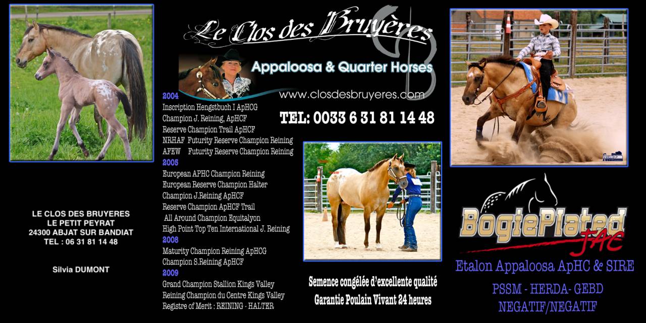 Veulen (ml) Appaloosa Te koop 2020 Palomino ,  BOGIEPLATED JAC (ApHC)