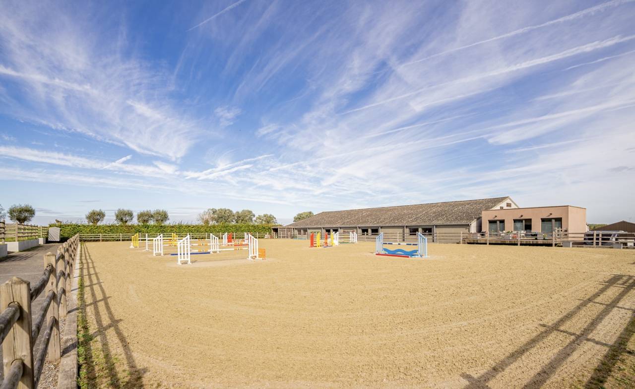 Eigenaren stal Huur Brabant-Flamand