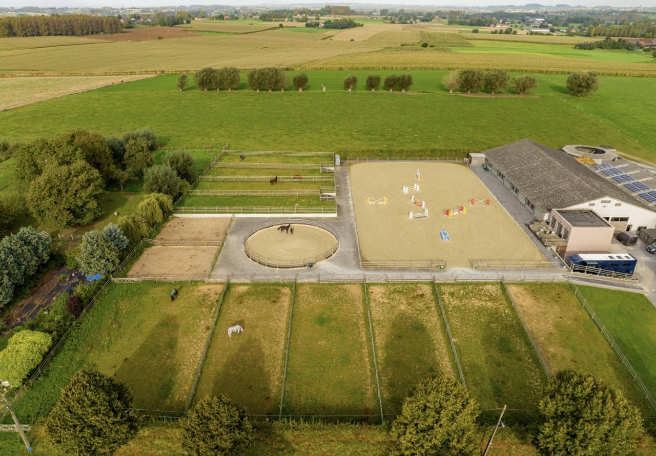 Eigenaren stal Huur Brabant-Flamand