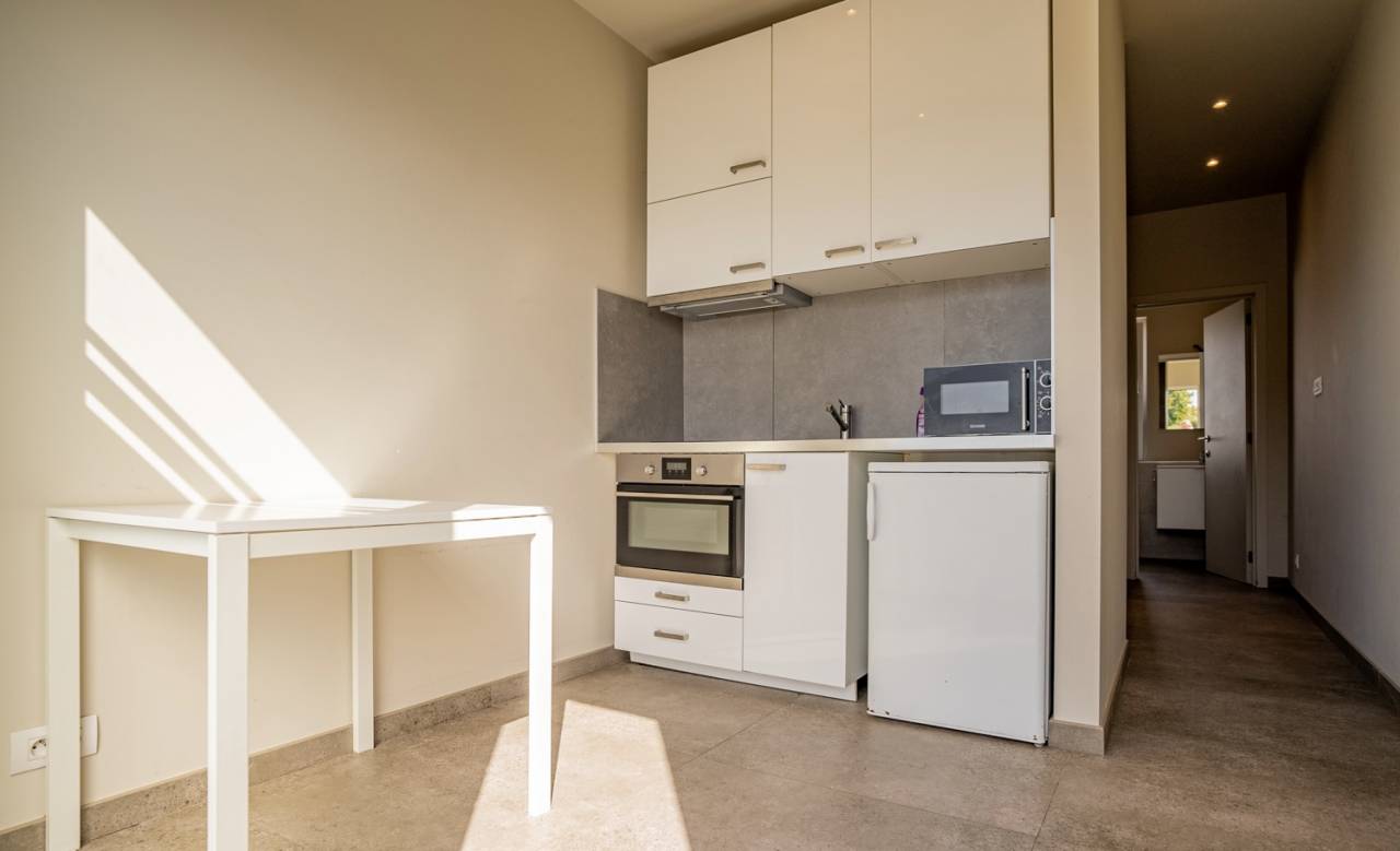 Eigenaren stal Huur Brabant-Flamand