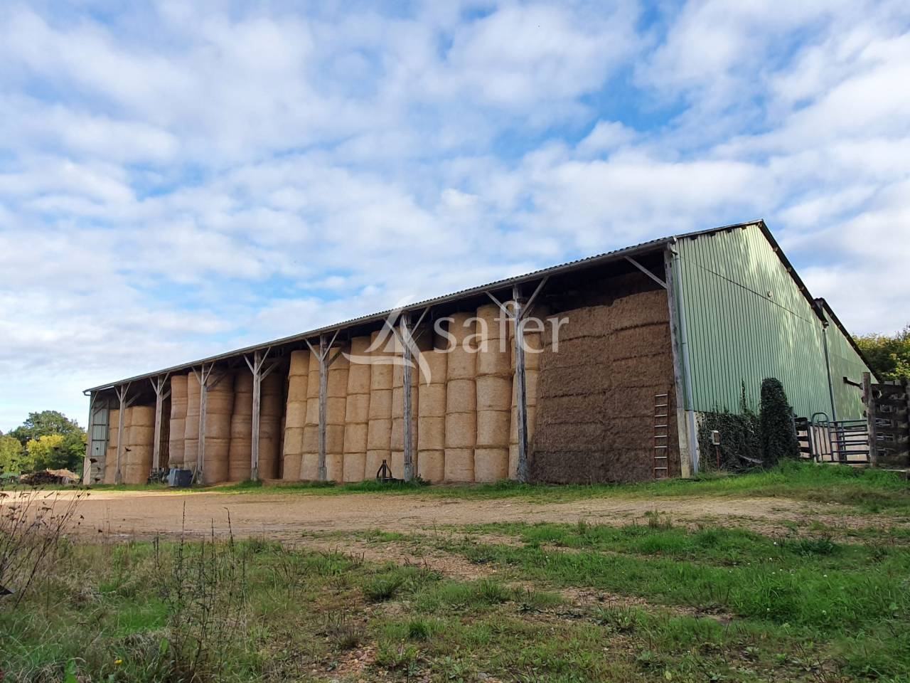 Kippen exploitatie Koop Sarthe