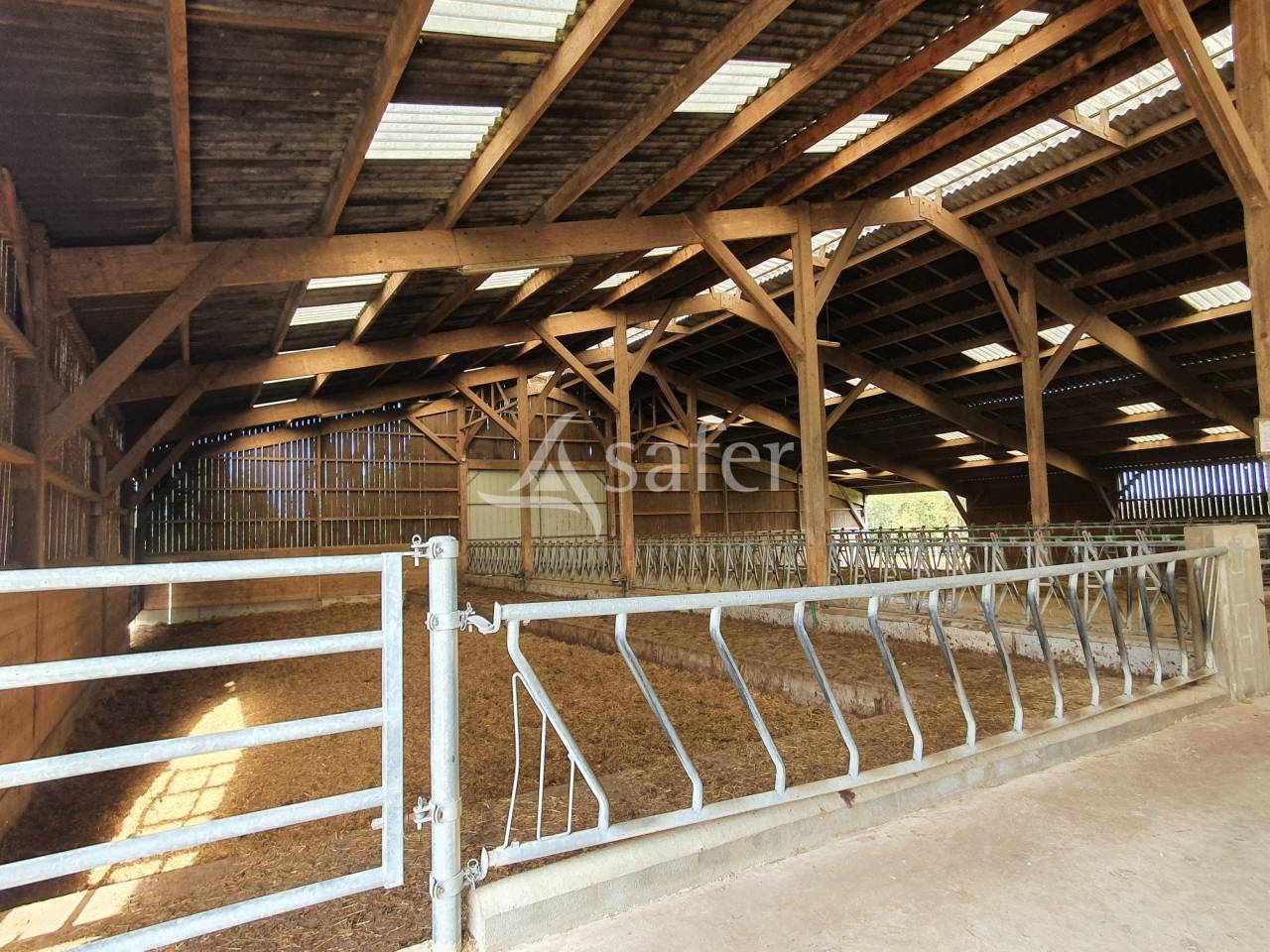 Kippen exploitatie Koop Sarthe