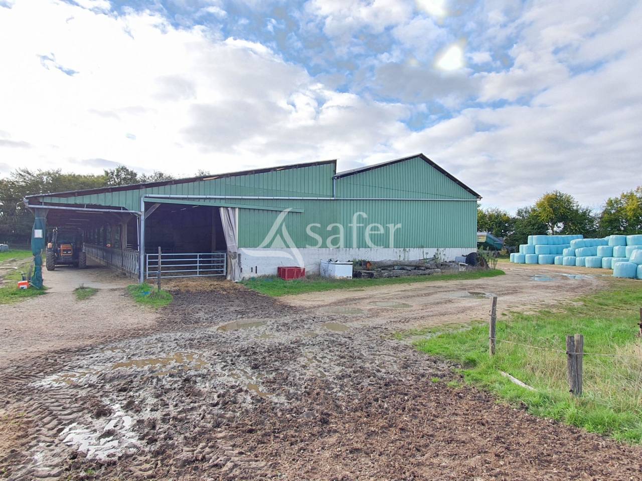 Kippen exploitatie Koop Sarthe