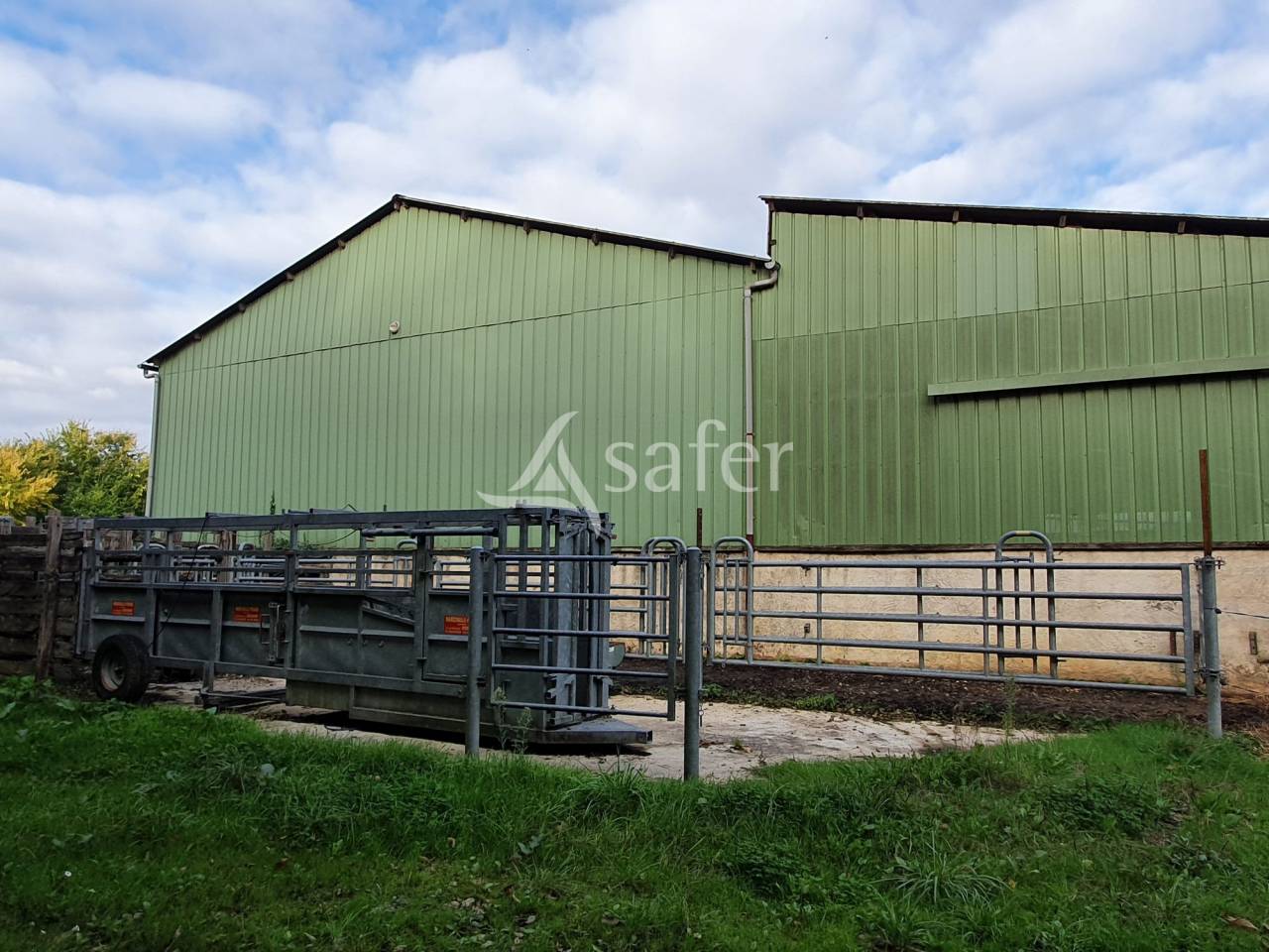 Kippen exploitatie Koop Sarthe