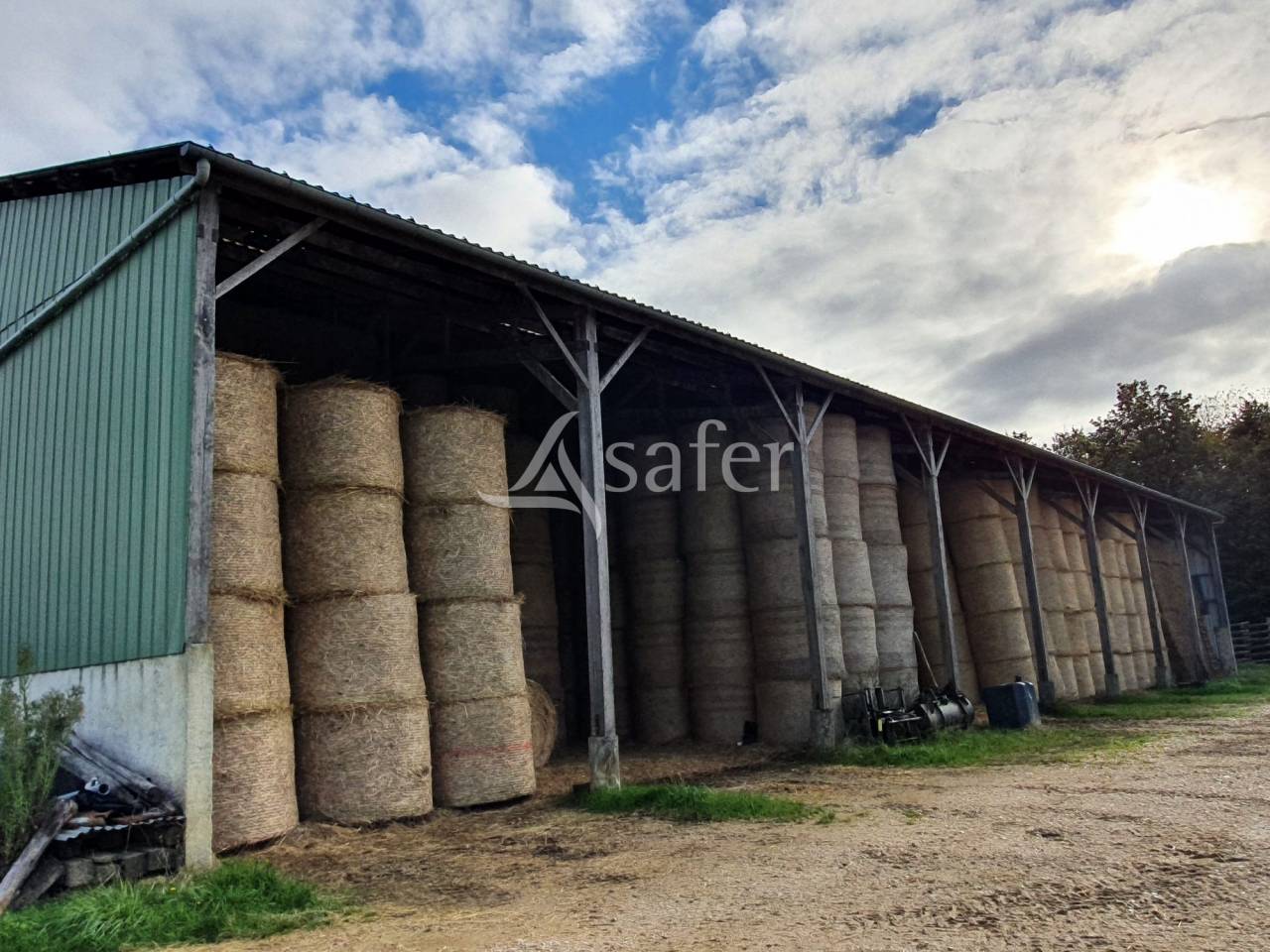 Kippen exploitatie Koop Sarthe