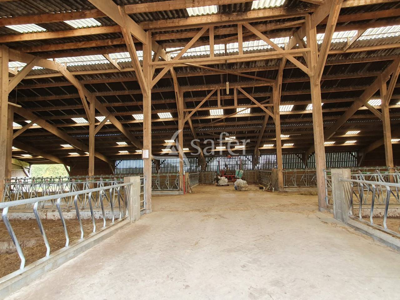 Kippen exploitatie Koop Sarthe