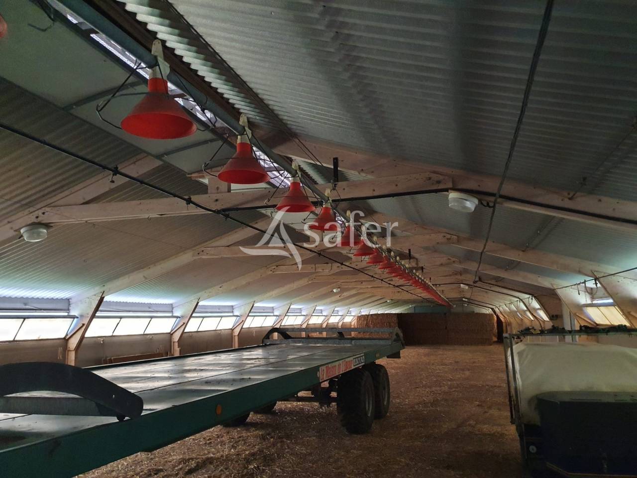 Kippen exploitatie Koop Sarthe