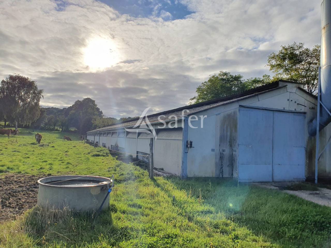 Kippen exploitatie Koop Sarthe