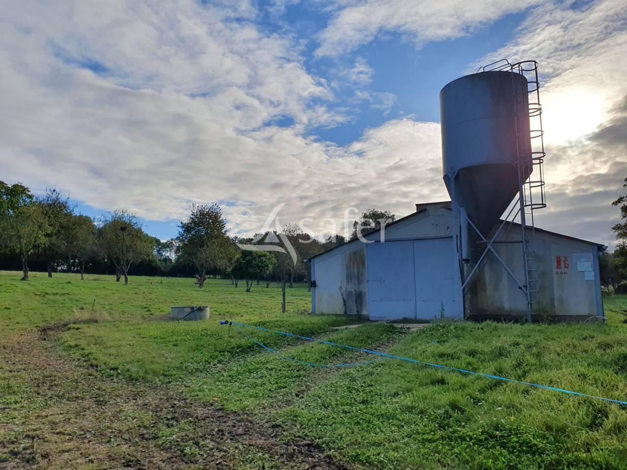 Kippen exploitatie Koop Sarthe
