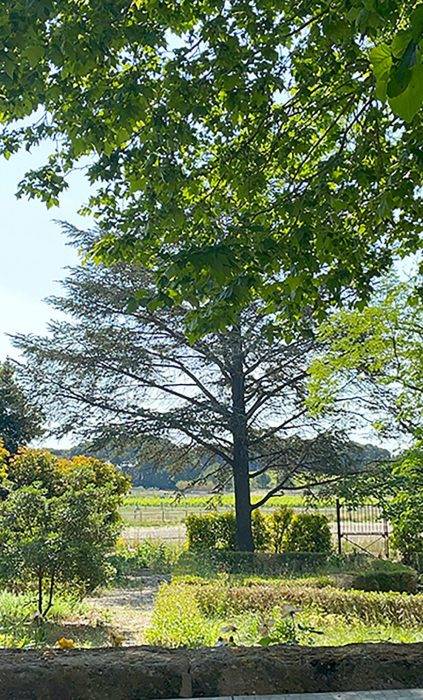 Hippisch vastgoed Koop Hérault