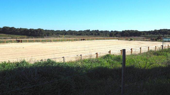 Hippisch vastgoed Koop Hérault
