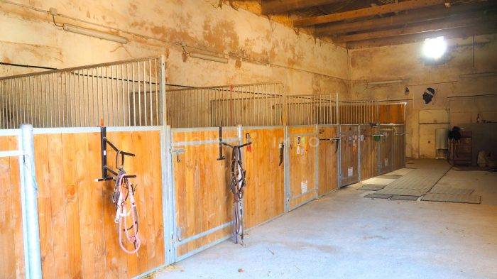 Hippisch vastgoed Koop Hérault