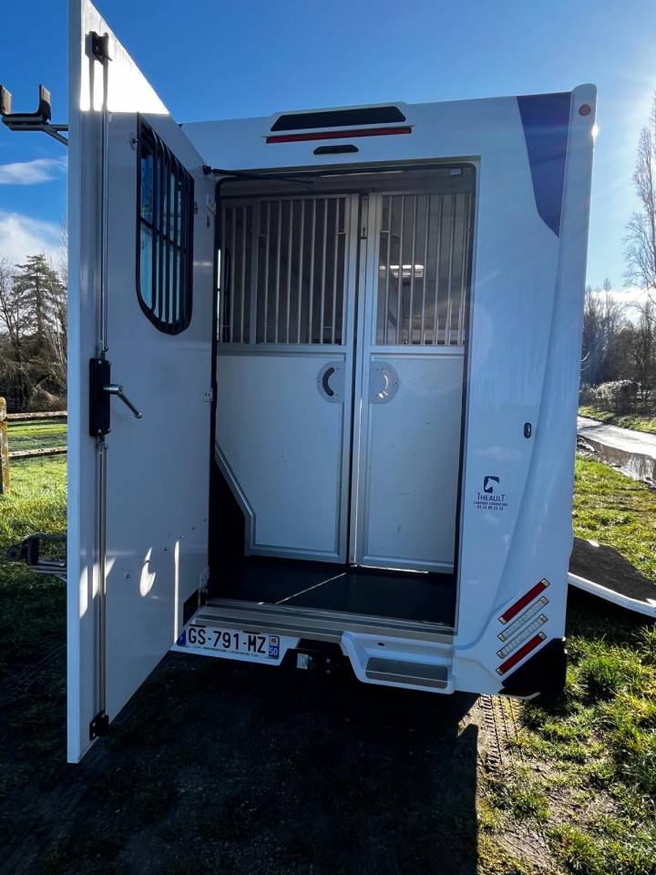Kleine paardenvrachtwagen (B rijbewijs) Theault Proteo 5L Fit 2023 Tweedehands