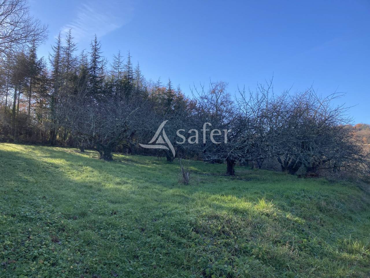 Hippisch vastgoed Koop Lot-et-Garonne