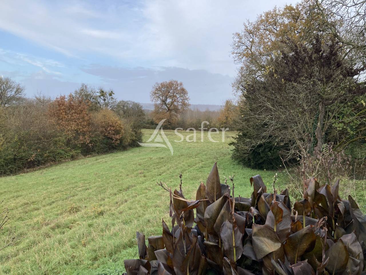 Hippisch vastgoed Koop Lot-et-Garonne