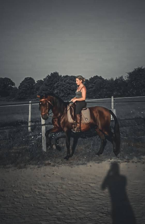 Amadeo de Ruyer - Lusitano 2010 ,  Borladero FLV