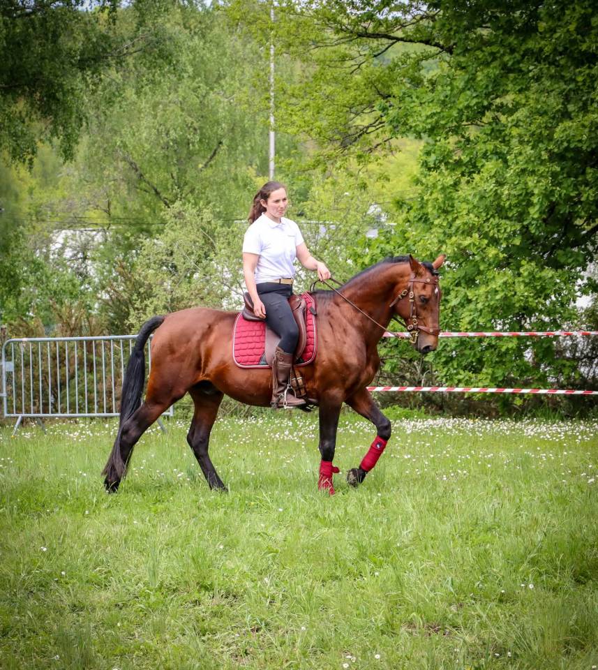 Amadeo de Ruyer - Lusitano 2010 ,  Borladero FLV