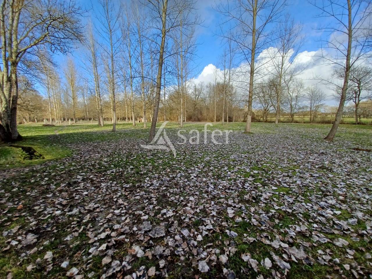 Ander plattelands vastgoed Koop Charente