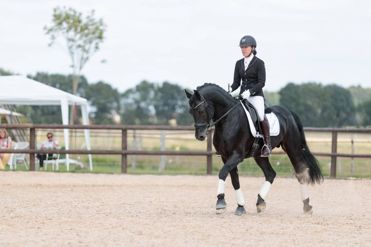 Wlahad des Brumières 029 - Arabo Fries 2015 ,  Sinoan Bashhar Aswad