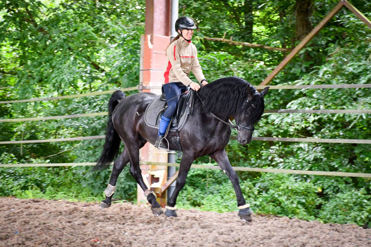 Wlahad des Brumières 029 - Arabo Fries 2015 ,  Sinoan Bashhar Aswad