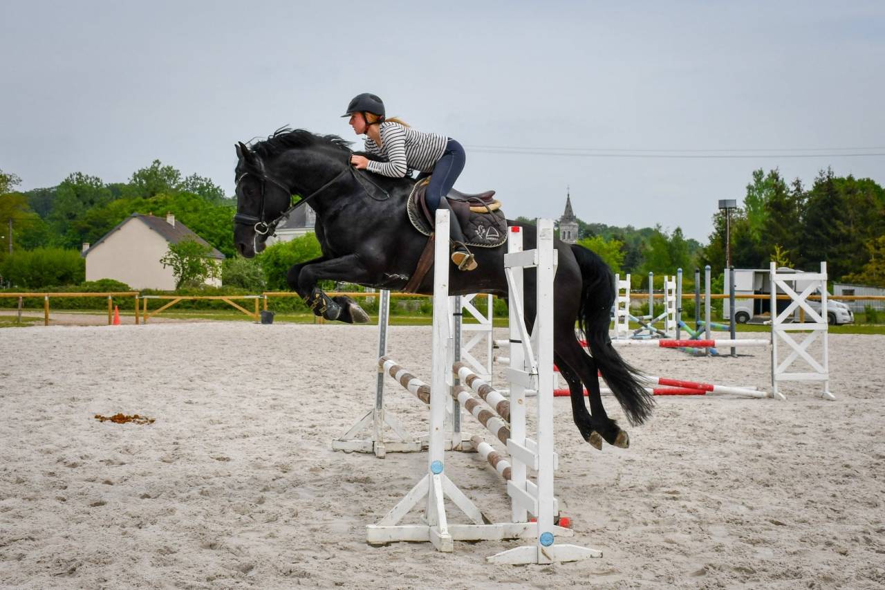 Wlahad des Brumières 029 - Arabo Fries 2015 ,  Sinoan Bashhar Aswad