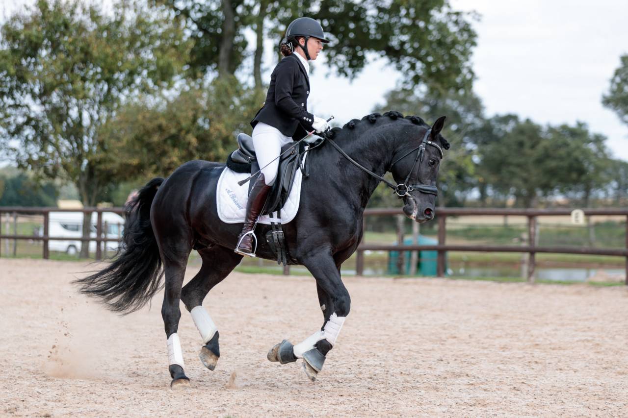 Wlahad des Brumières 029 - Arabo Fries 2015 ,  Sinoan Bashhar Aswad